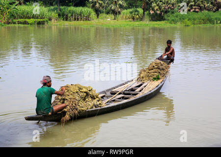 Un bateau chargé de fibres de jute brut à Faridpur, Bangladesh. Banque D'Images