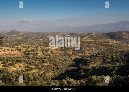 Vallée de la Crète centrale, avec ses oliviers et les champs, entouré de hautes montagnes. Humeur d'automne. Ciel bleu avec des nuages blancs. Banque D'Images