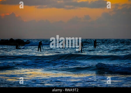 Silhouette de sup surfeurs dans la mer Méditerranée. Photographié à Tel Aviv au coucher du soleil Banque D'Images