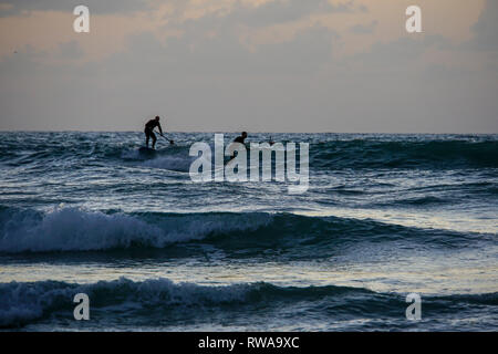 Silhouette de sup surfeurs dans la mer Méditerranée. Photographié à Tel Aviv au coucher du soleil Banque D'Images