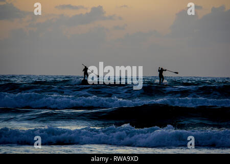 Silhouette de sup surfeurs dans la mer Méditerranée. Photographié à Tel Aviv au coucher du soleil Banque D'Images