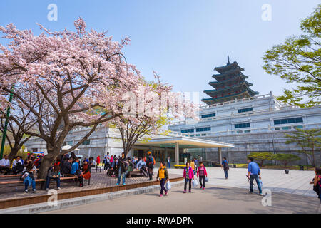 Séoul - 10 avril 2016 : Gyeongbokgung Palace avec Fleur de cerisier au printemps Billet de Corée, le 10 avril 2016 à Séoul, Corée du Sud. Banque D'Images