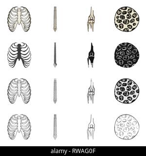 Nervure, colonne vertébrale,fémur,,fibre,cage,chiropratique,osseuses,sain,rx,base,jambe,scientifique,le corps,la colonne vertébrale,Genou,musculaires ostéoporose,tibia,,épithélium sternum,posture,péroné,épiderme,sternum,joints,tendon,mouvement,calcium cellule,chirurgie,dommage,la médecine,clinique,biologie,médical,os,,squelette anatomie,des,organes,,set,icône,,illustration,collection,isolé,design,graphisme,élément vecteur vecteurs,signer , Illustration de Vecteur