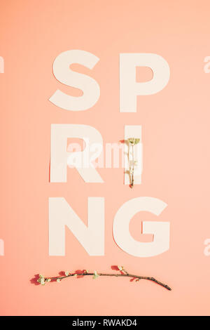 Mise en page créative avec l'inscription Printemps et branches en fleurs sur fond pastel. Miminimalism Banque D'Images