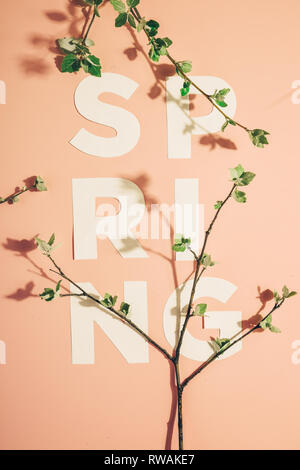 Mise en page créative avec l'inscription Printemps et branches en fleurs sur fond pastel. Miminimalism Banque D'Images