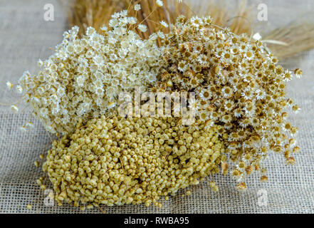 Concept de décoration. Un des bouquets de fleurs sauvages séchées diverses sur fond tissu rustique. Banque D'Images