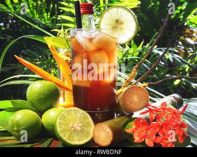 Cocktail Cuba Libre sur fond Tropical Banque D'Images