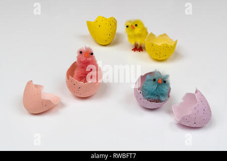 Œufs de Pâques colorés avec des petits poussins sur une surface blanche Banque D'Images