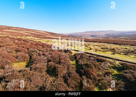 À travers les collines et les vallées de Derwent Moor dans le Derbyshire par un beau jour brumeux Banque D'Images