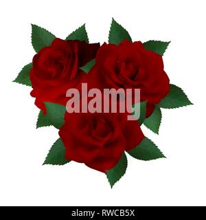 Bouquet de roses rouge vif. Fleurs sur fond blanc. Illustration de Vecteur