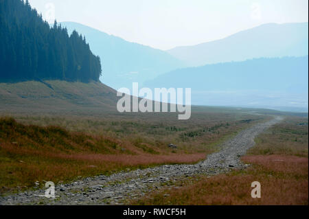 Le lac Vidra (Lac Vidra) sur la rivière Lotru Transalpina par route (DN67C) dans les montagnes Carpates du Sud à Parang dans Obarsia Lotrului en Roumanie. 1 juillet Banque D'Images