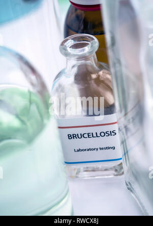 Testez la brucellose en laboratoire, image conceptuelle Banque D'Images