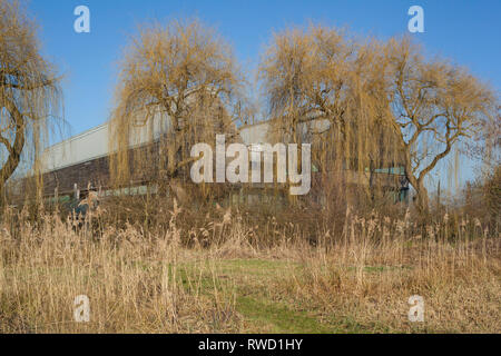 Le revêtement en chêne River & Musée de l'aviron se fond dans le paysage d'hiver à Henley-on-Thames, conçu par David Chipperfield Architects. Banque D'Images