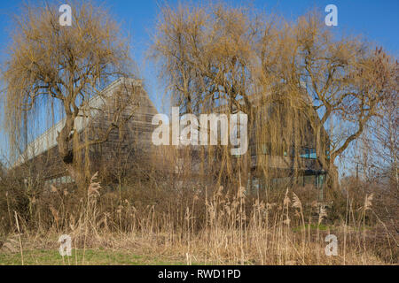 Le revêtement en chêne River & Musée de l'aviron se fond dans le paysage d'hiver à Henley-on-Thames, conçu par David Chipperfield Architects. Banque D'Images