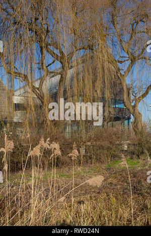 Le revêtement en chêne River & Musée de l'aviron se fond dans le paysage d'hiver à Henley-on-Thames, conçu par David Chipperfield Architects. Banque D'Images