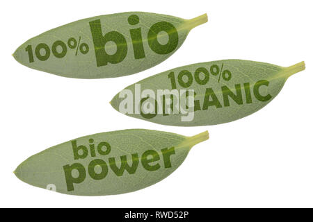 Icon Set avec trois feuilles vertes et les inscriptions 100 % bio, 100 % bio et alimentation bio Banque D'Images