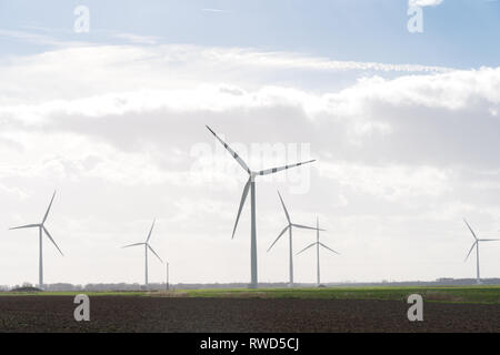 Champs Goole Wind Farm près de Goole. À partir d'une série de photos prises à Goole, Yorkshire. Date de la photo : le mardi 5 mars 2019. Photo : Roger Garfield/Alamy Banque D'Images