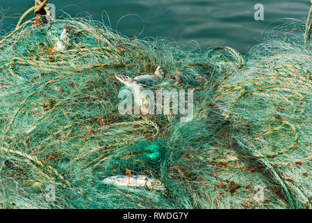 Filets de pêche colorés sur un quai de Setubal, Portugal Banque D'Images