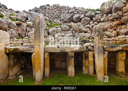 Les temples de Ggantija, village de Xaghra, GOZO, Malta, Europe Banque D'Images