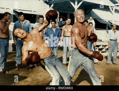 NEWMAN,KENNEDY, Cool Hand Luke, 1967 Banque D'Images