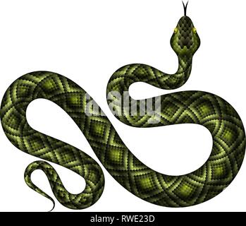 Python vert réaliste illustration vectorielle. Serpent tropical isolé sur fond blanc Illustration de Vecteur