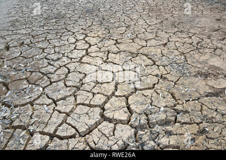 Sol fissuré profondément dans l'arrière-pays australien pendant la sécheresse dévastatrice, pris dans l'ouest de la Nouvelle-Galles du Sud Banque D'Images