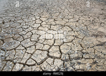 Sol fissuré profondément dans l'arrière-pays australien pendant la sécheresse dévastatrice, pris dans l'ouest de la Nouvelle-Galles du Sud Banque D'Images