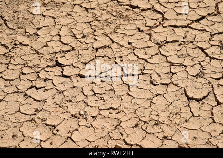 Sol fissuré profondément dans l'arrière-pays australien pendant la sécheresse dévastatrice, pris dans l'ouest de la Nouvelle-Galles du Sud Banque D'Images