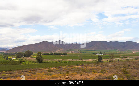 Robertson wine Valley au coeur de la route des vins, situé dans la vallée fertile de Robertson, de l'agriculture est le pilier de l'économie de la ville Banque D'Images