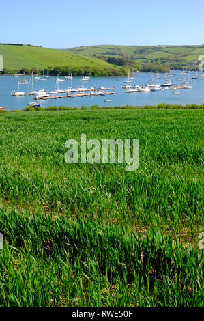 Voir d'amarrage et des yachts sur l'estuaire de Salcombe prises à partir d'un champ de blé précoce sur Snape Point, Salcombe, Devon, UK. Banque D'Images