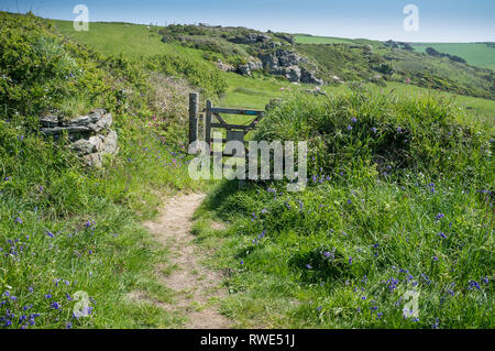 Sentier du littoral au printemps sur les Bolberry spectaculaire vers le bas, dans le sud du Devon, UK Banque D'Images