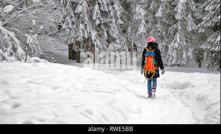 Une seule femme randonneur promenades à travers une forêt couverte de neige dans une forêt en hiver. Le sentier et les arbres sont recouverts de neige fraîche. Banque D'Images