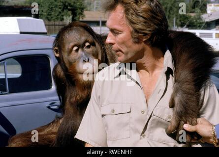 CLINT EASTWOOD, DANS TOUS LES SENS, mais lâche, 1978 Banque D'Images