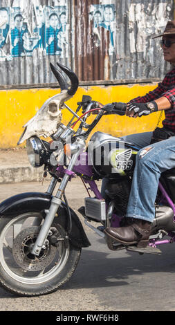 Homme Biker à moto, avec Bull Cow skull sur guidon - Rodeo Masbate, Philippines Banque D'Images