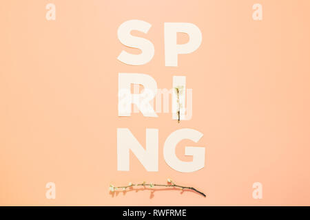 Mise en page créative avec l'inscription Printemps et branches en fleurs sur fond pastel. Miminimalism Banque D'Images
