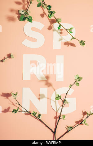 Mise en page créative avec l'inscription Printemps et branches en fleurs sur fond pastel. Miminimalism Banque D'Images