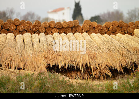 Meules de pittoresque dans la campagne de France. Camargue Banque D'Images