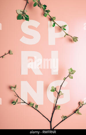 Mise en page créative avec l'inscription Printemps et branches en fleurs sur fond pastel. Miminimalism Banque D'Images