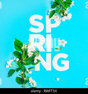 Mise en page créative de fleurs de pommier sur fond bleu. Mise à plat. Concept - minimalisme printemps Banque D'Images
