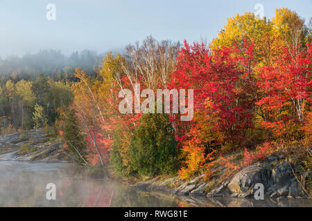 Brillantes couleurs d'automne, Lac Simon, Naughton, Ville du Grand Sudbury, Ontario Banque D'Images