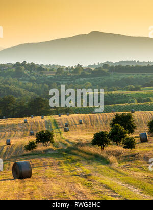 Lamporecchio, TOSCANE / ITALIE, LE 18 JUIN 2018 : des bottes de foin dans un champ au coucher du soleil. Banque D'Images