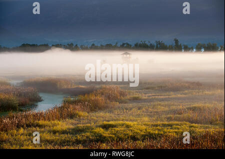 Lever du soleil et du brouillard au-dessus de la vallée de Creston, BC, Canada, Centre de la faune de Creston Banque D'Images