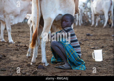 Garçon Karamojong traire une vache dans le village, dans le nord de l'Ouganda Banque D'Images