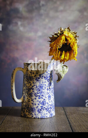 En tête de tournesol morts bleu et blanc orné d'une cruche peint contre un fond texturé avec un plancher en bois. Banque D'Images