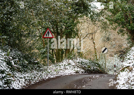 Cuire Woods, Hessenford, South East Cornwall Banque D'Images