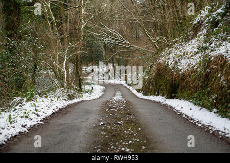 Cuire Woods, Hessenford, South East Cornwall Banque D'Images