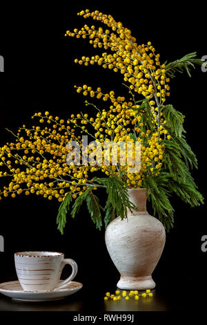 Mimosa fleurs jaunes dans un vase en céramique sur un tableau noir Banque D'Images