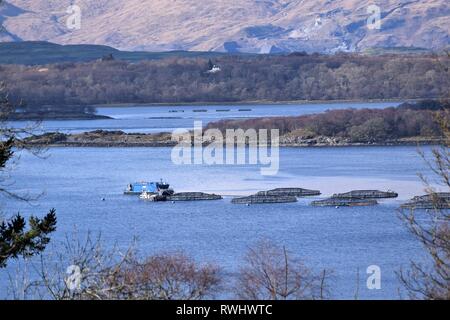 Scottish Sea Farms à plumes saumon Loch Creran, Sud Shian, Argyll avec Glensanda Superquarry en arrière-plan. Banque D'Images