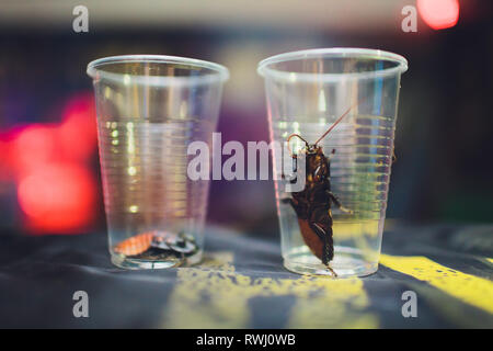 Les blattes qui meurent dans un verre d'eau sur une table Banque D'Images