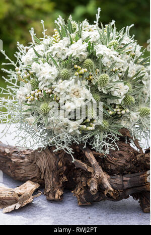 La botanique, couverture cartonnée ronde bouquet avec edelweiss, attention ! Pour Greetingcard-Use Postcard-Use / dans la partie germanophone du pays, certaines restrictions peuvent s'appliquer Banque D'Images